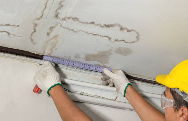Reliable Flood Cleanup contractor in Ohio City, OH by Water Damage Irwin